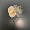 Handblown Murano glass — Disks Transparent