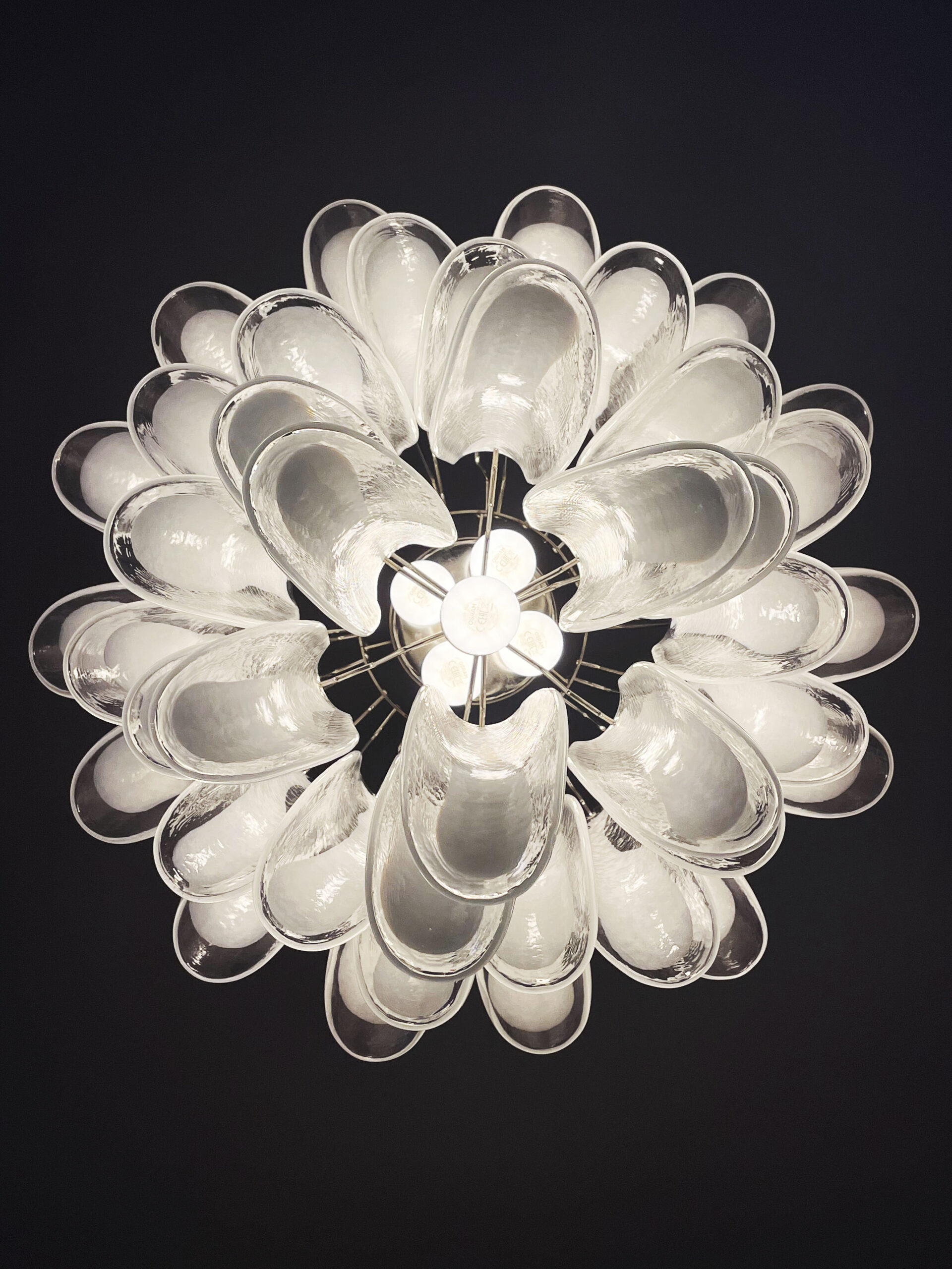 Transparent Murano Petal Chandelier – 41 Glass Petals
